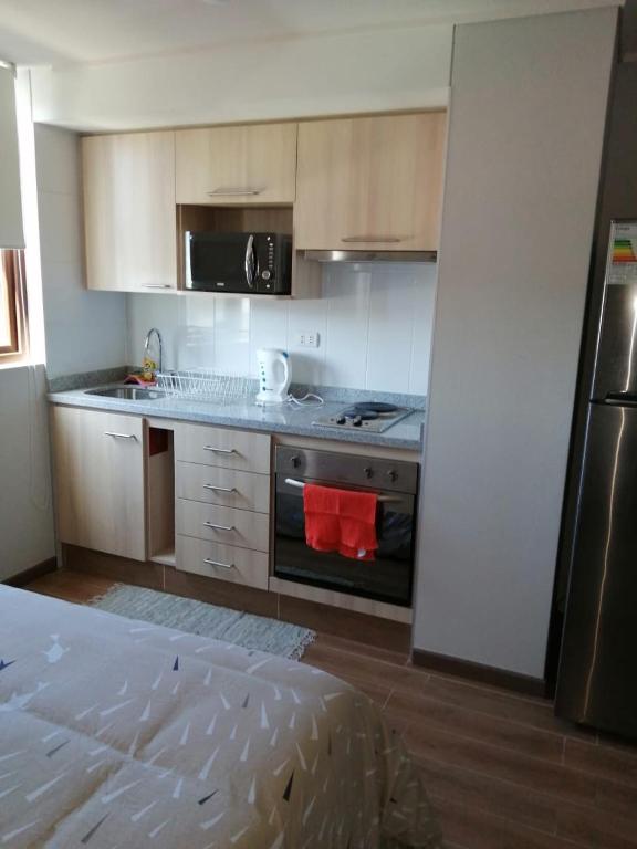 Departamento Un Ambiente Centro de Concepción - One-Bedroom Apartment