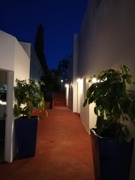 Ogród w obiekcie Mdina