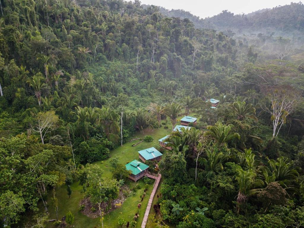 Jaguar Creek, Good Living Camp (updated prices 2025)