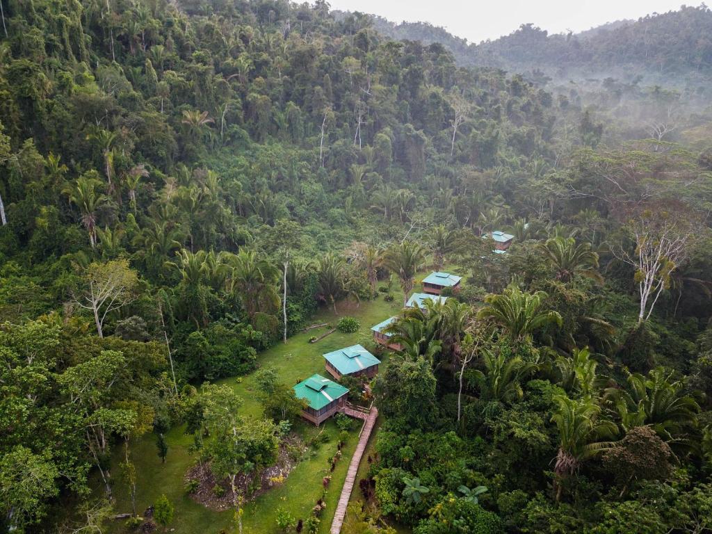an aerial view of a forest with a group of houses at Jaguar Creek in Good Living Camp