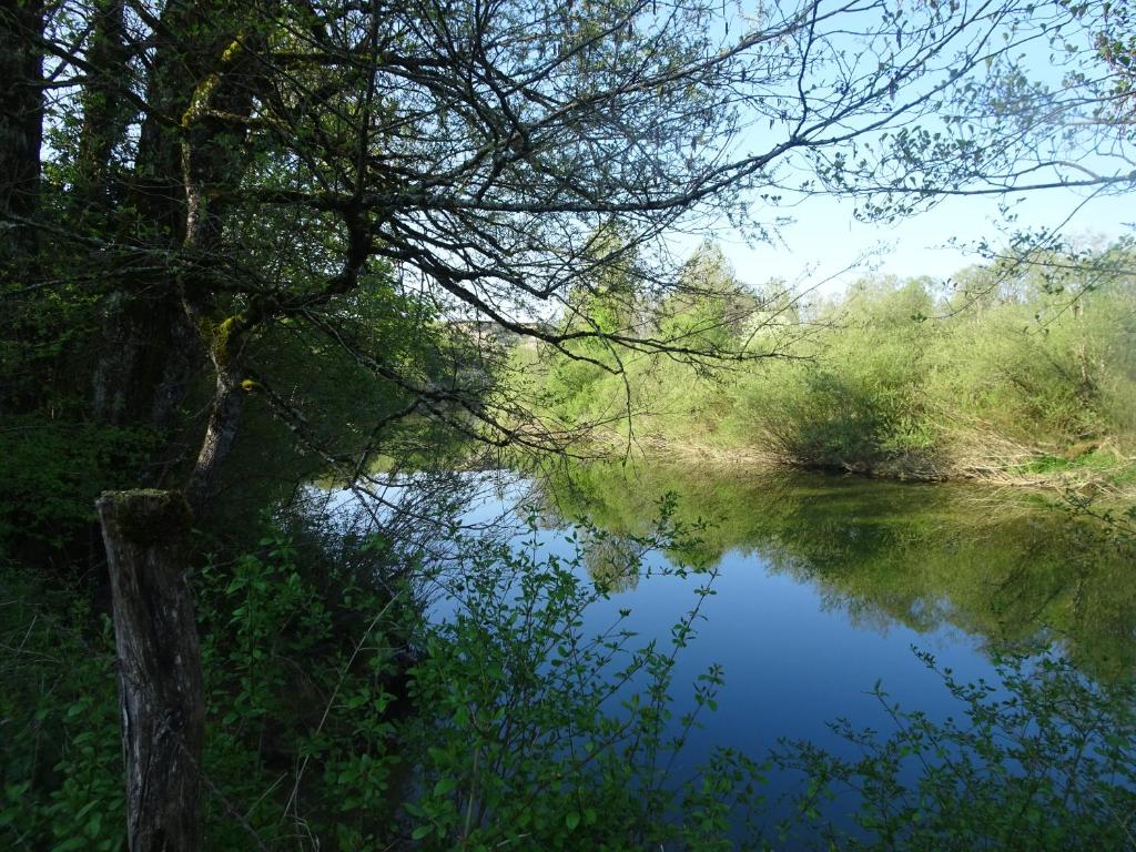 um rio com o reflexo de uma árvore na água em La Chambre des Carrelets em Montigny-sur-lʼAin