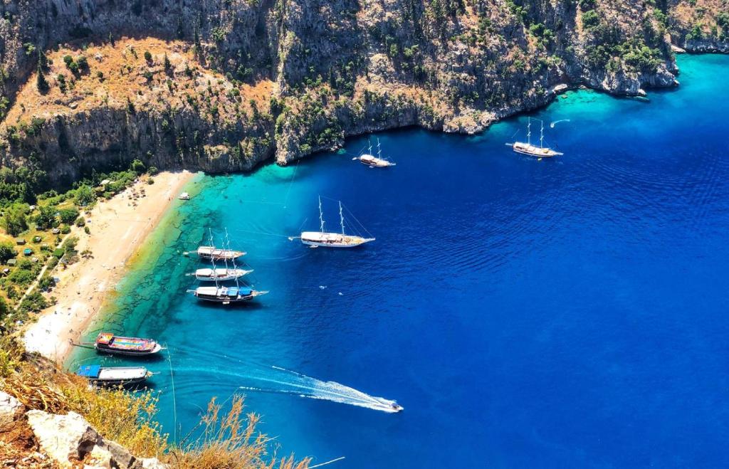 an aerial view of a beach with boats in the water at Mimoza Hotel in Oludeniz