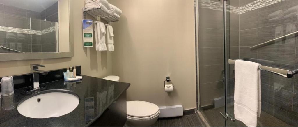 Ramada Plaza by Wyndham Montreal - Resim 39