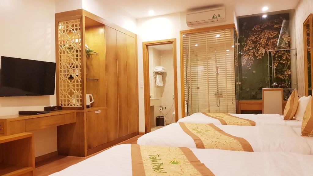 Palm Hotel Thanh Hoa - トリプルルーム バスルーム付