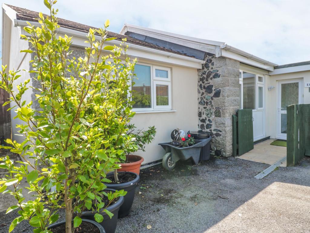 a house with a tree in front of it at 22 Trembel Road in Helston