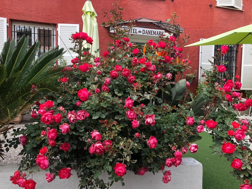 
a bouquet of flowers in front of a red brick building at Hotel Danemark in Nice

