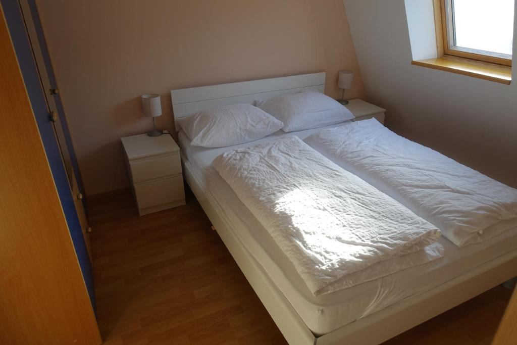 Postel nebo postele na pokoji v ubytování Apartments Kaninska Vas