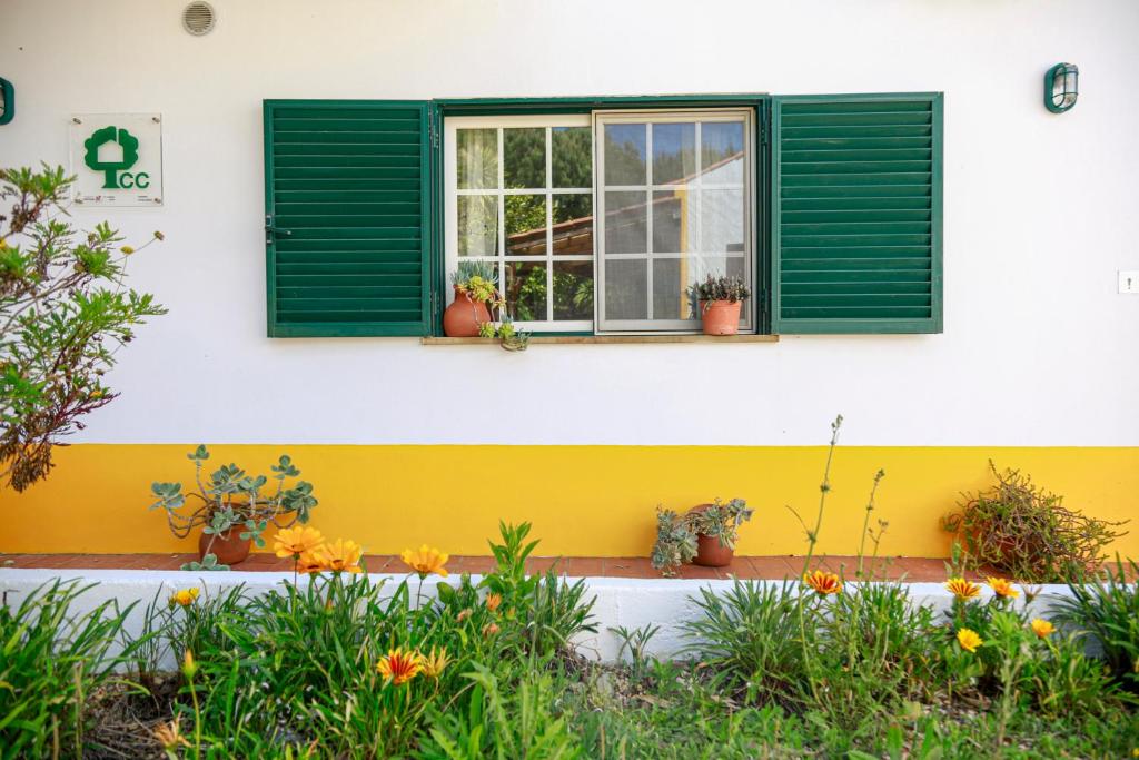 Quinta Camarena - Apartamento - Planta Baja