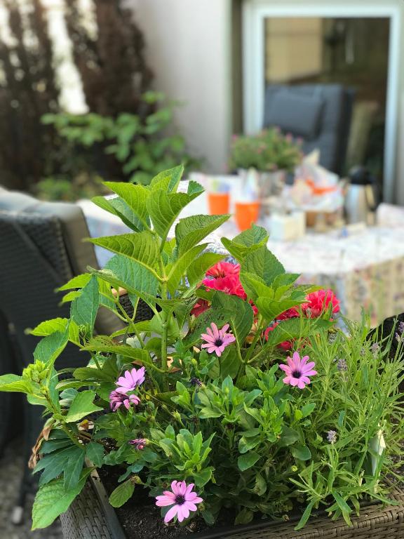 Hotel Cascade Superior - Resim 28