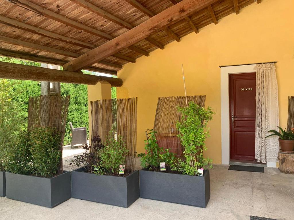 een patio met een bos planten in potten bij Gîte L'Olivier (Bastide Sainte Agnès) in Carpentras