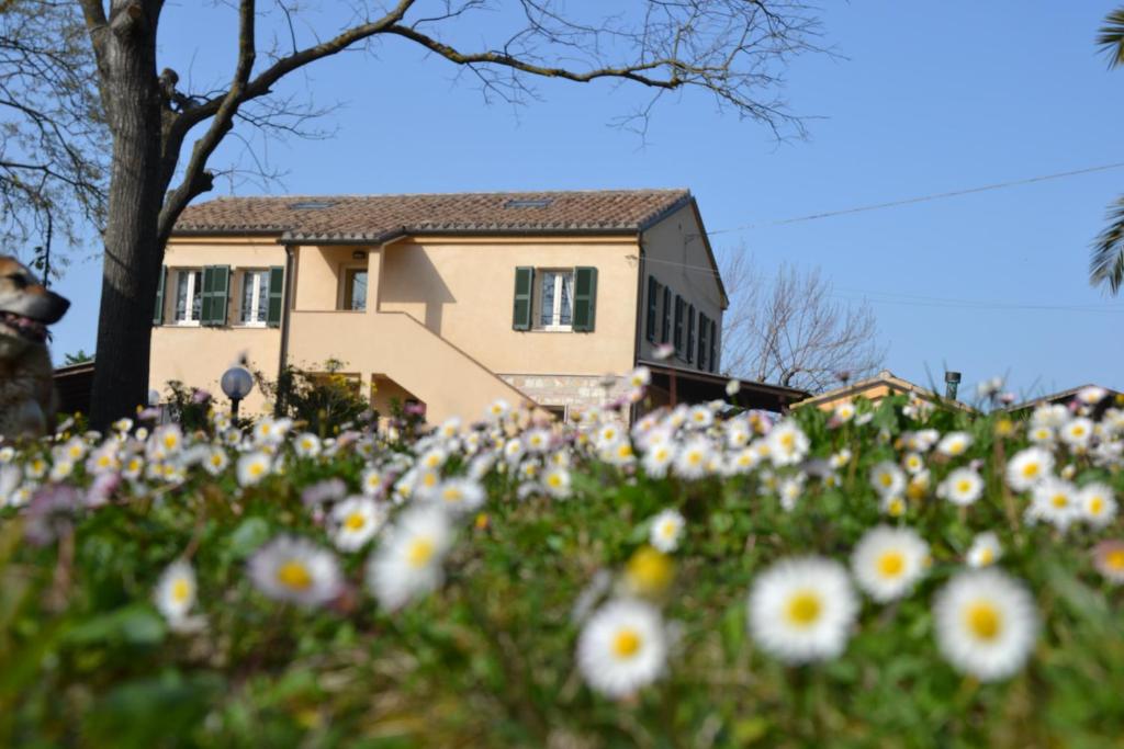 uma casa com um campo de flores em frente em Il Mandorlo - Agriturismo e Azienda Agricola Ferrato em Ancona