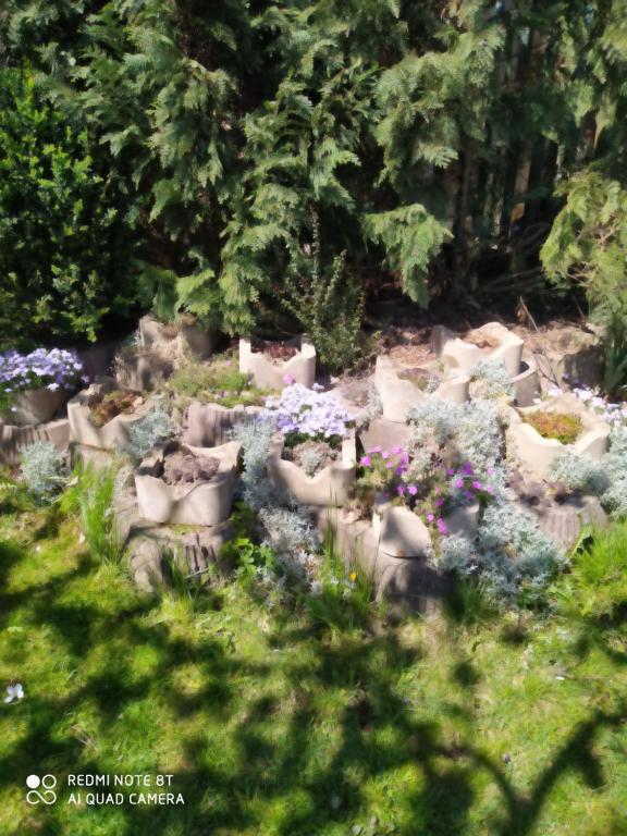 Ubytovanie Athéna - Resim 9