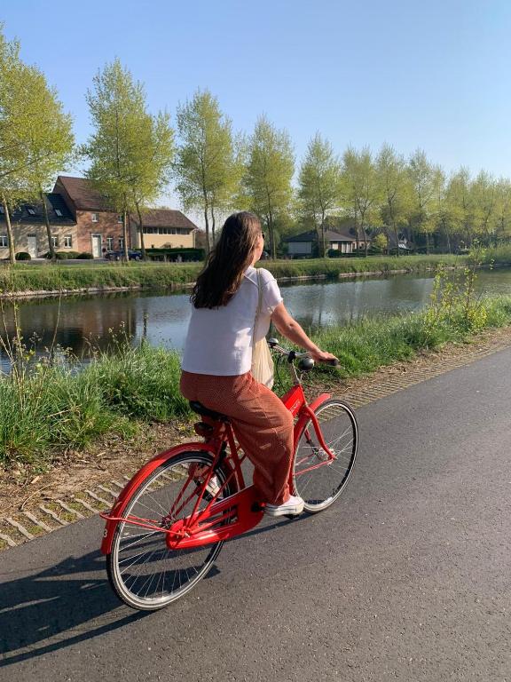 Hotel Adornes - Resim 12