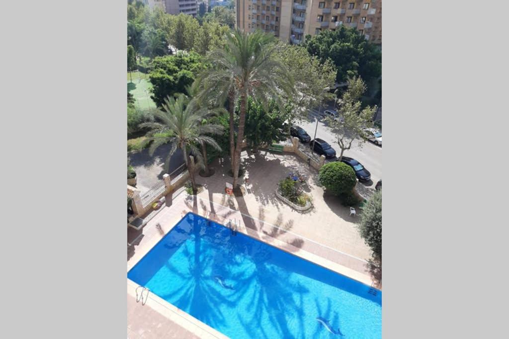 Fotografie z fotogalerie ubytování Moby Dick 4 (Verblijf aan de Costa) v destinaci Benidorm