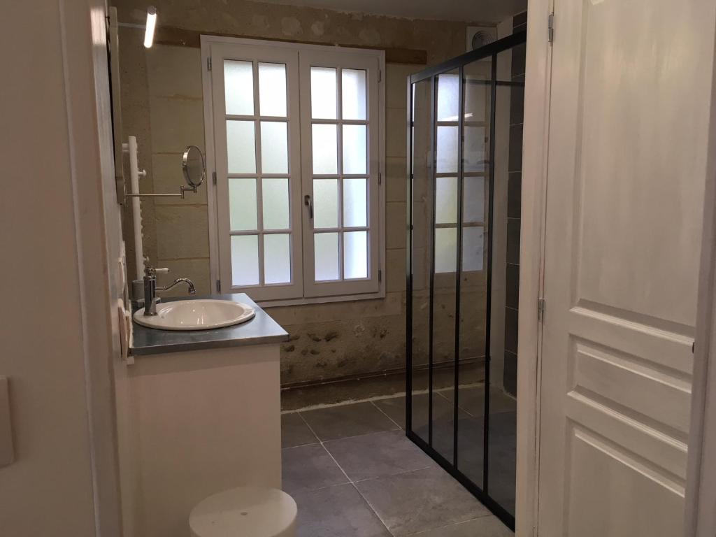 a bathroom with a sink and a glass shower at Les Colonnes De Chanteloup in Amboise