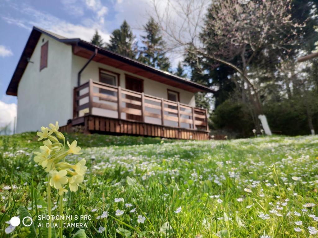 a house on a hill with a field of flowers at Domek na Wierchach in Uherce Mineralne (7)