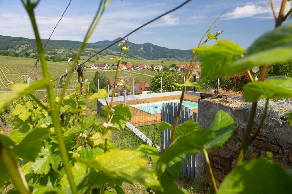 Bazén v ubytování Le Zell nebo v jeho okolí