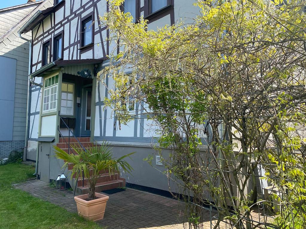 ein Haus mit einer Topfpflanze davor in der Unterkunft Apartment 003 Kassel Harleshausen in Kassel