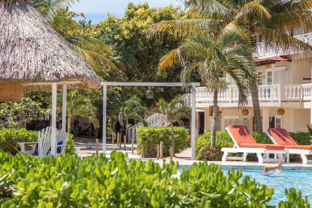 Almond Beach Resort at Jaguar Reef photo