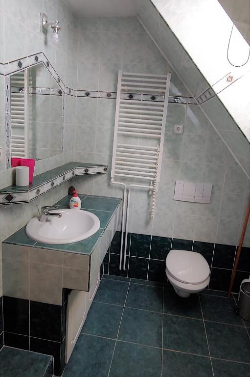 Koupelna v ubytování Apartmán Adam