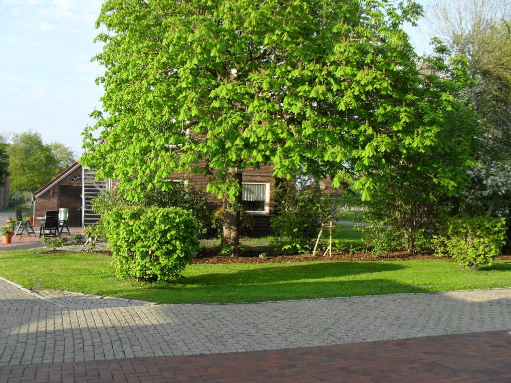 a large tree in front of a house at Ferienhof Schlachter in Berumbur