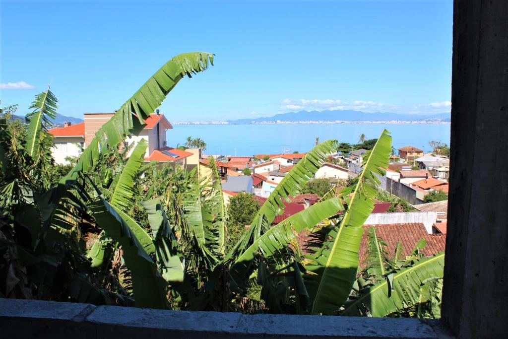  Magic Island Casas