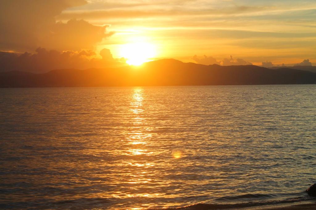  Magic Island Casas