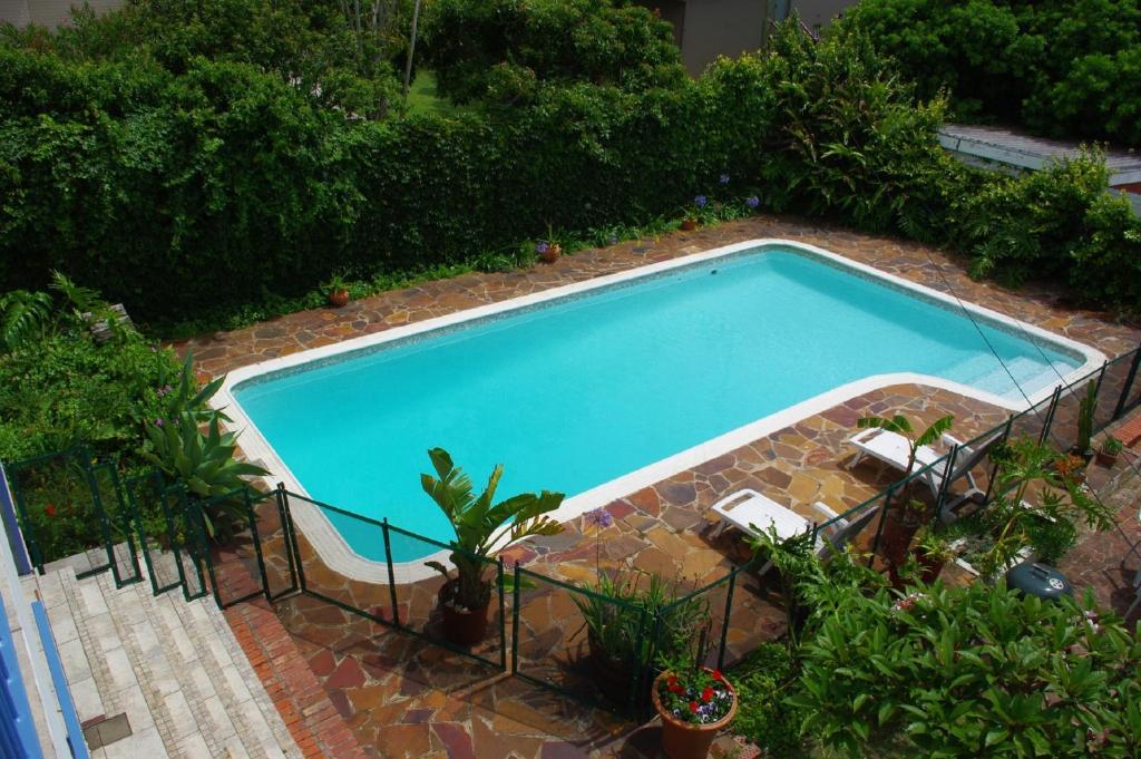 an overhead view of a swimming pool in a yard at Aqua Marine Guest House in Port Elizabeth