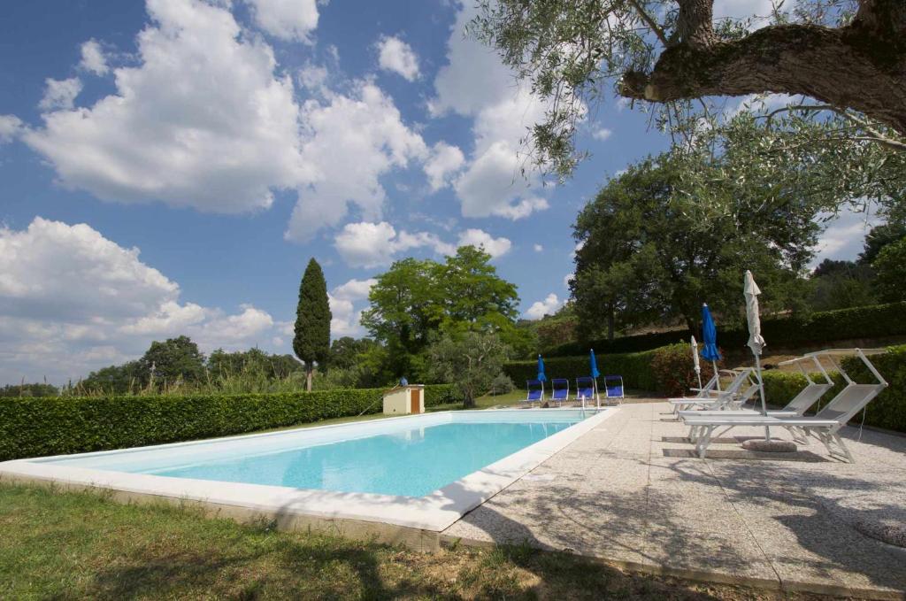 a swimming pool with lounge chairs and a tree at CASE&COLLINE La Mimosa in Montescudaio