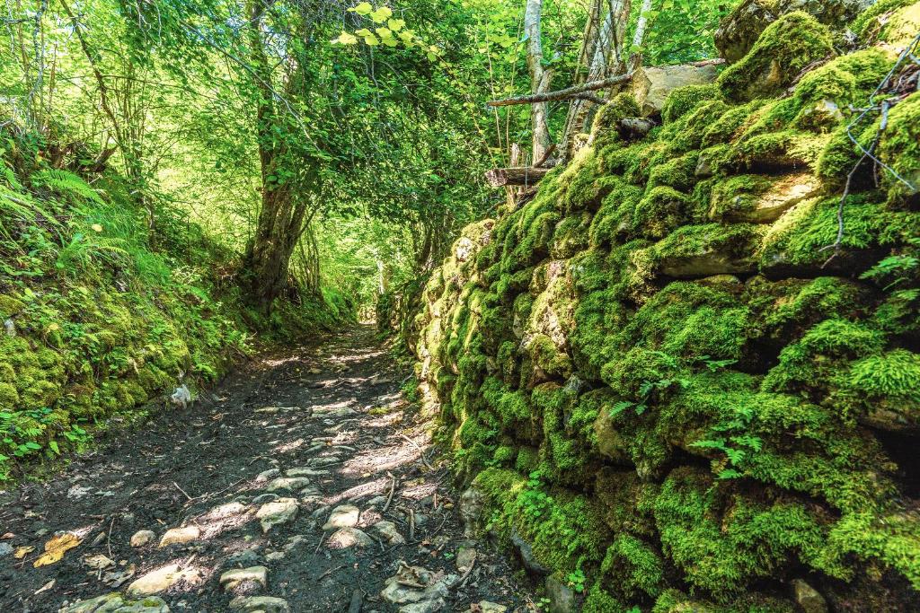 Terra Ecoturismo Casa La Cueva, La Focella – Precios ...