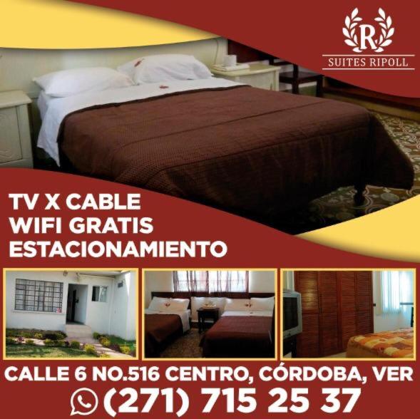 Hotel & Suites Ripoll Cordoba Centro