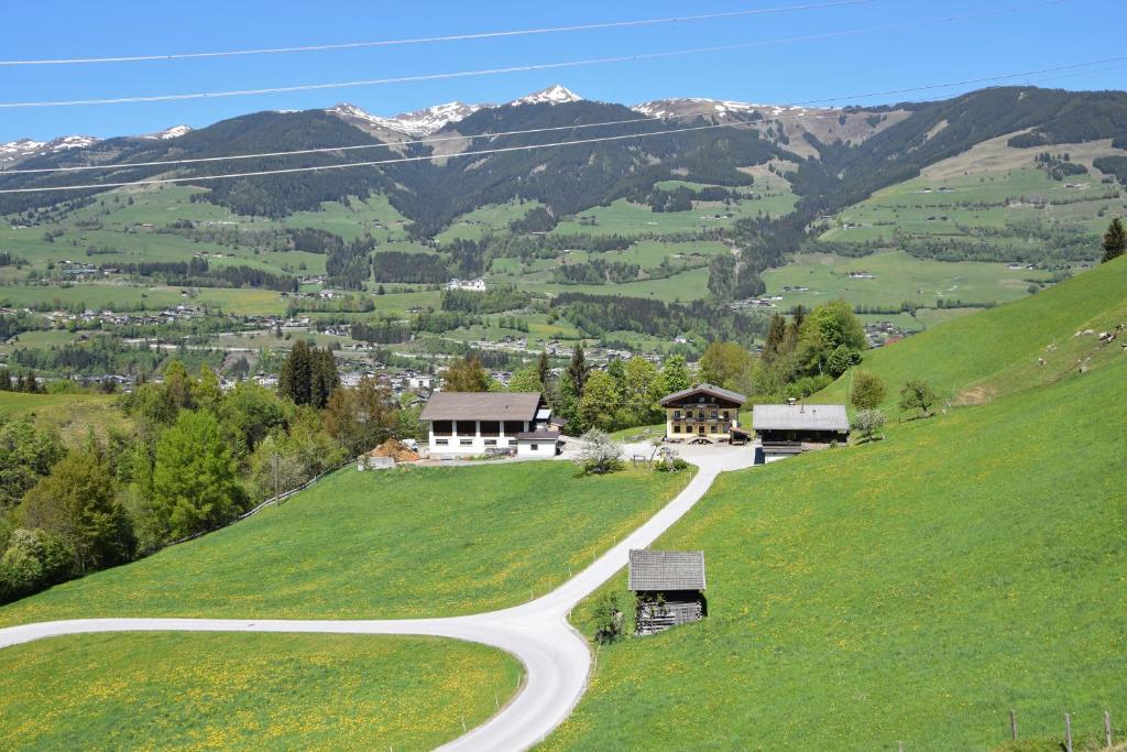 een kronkelende weg op een heuvel met bergen op de achtergrond bij Löschenbrandhof in Mittersill