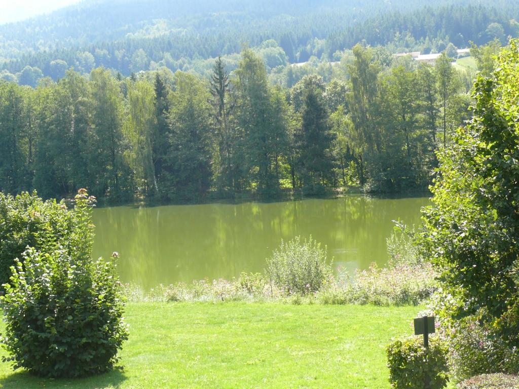 Příroda nedaleko apartmánu