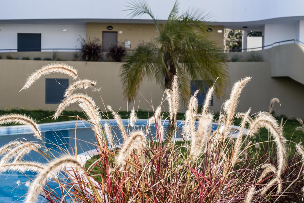 a palm tree in front of a house with a swimming pool at Family apartments Albur Village II in Alvor