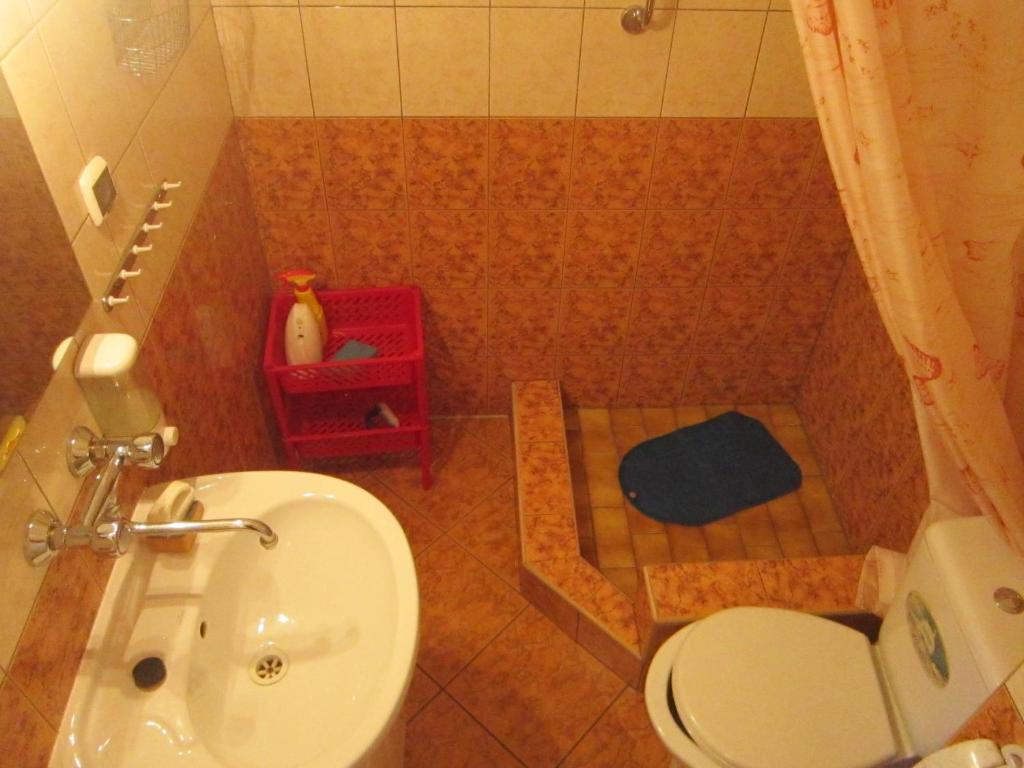 Kúpeľňa v ubytovaní Jarzębinka