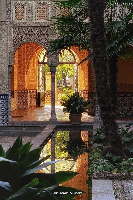 Apartamento Realejo Casco Historico - One-Bedroom Apartment