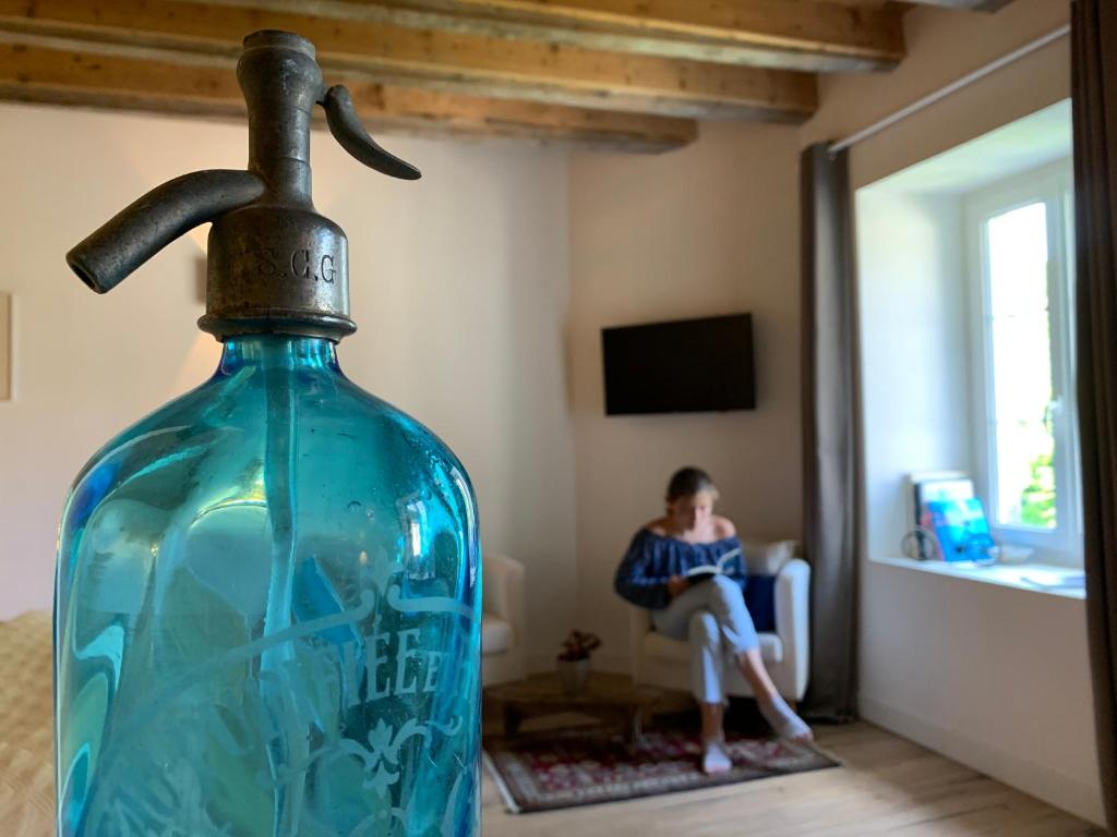 TV a/nebo společenská místnost v ubytování La Colonie - Maison d'Hôtes
