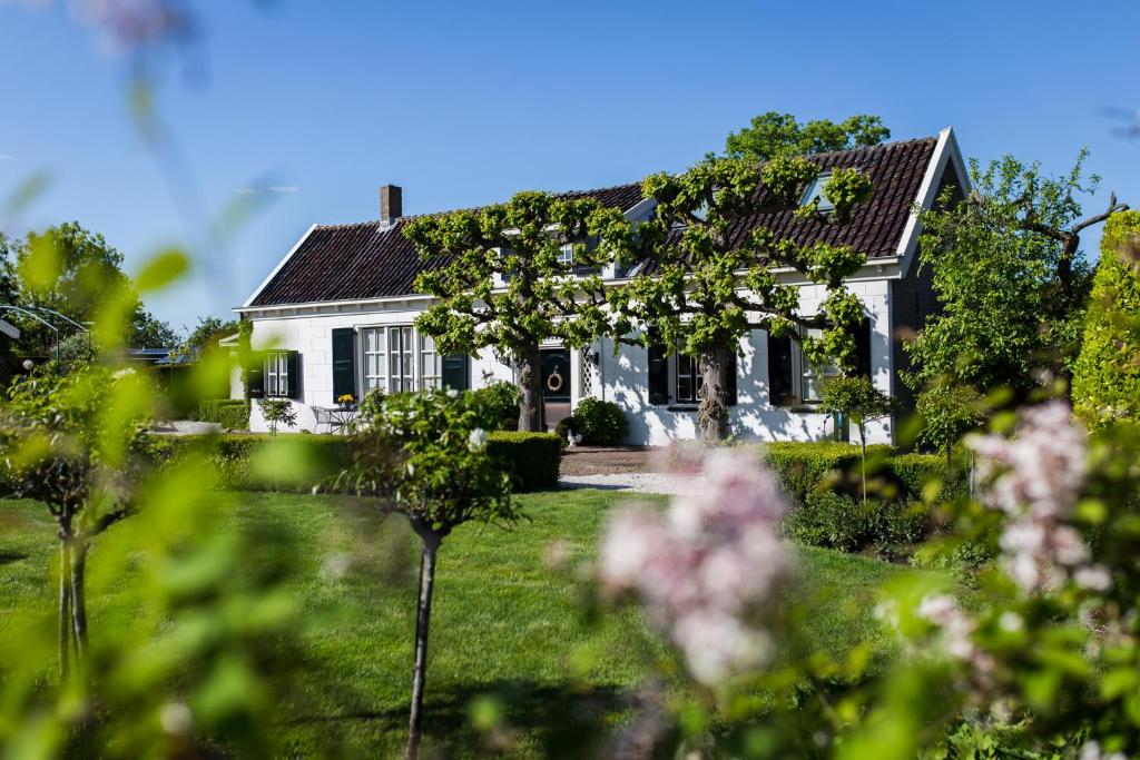 Zahrada ubytování B&B Wilhelmina's Cottage