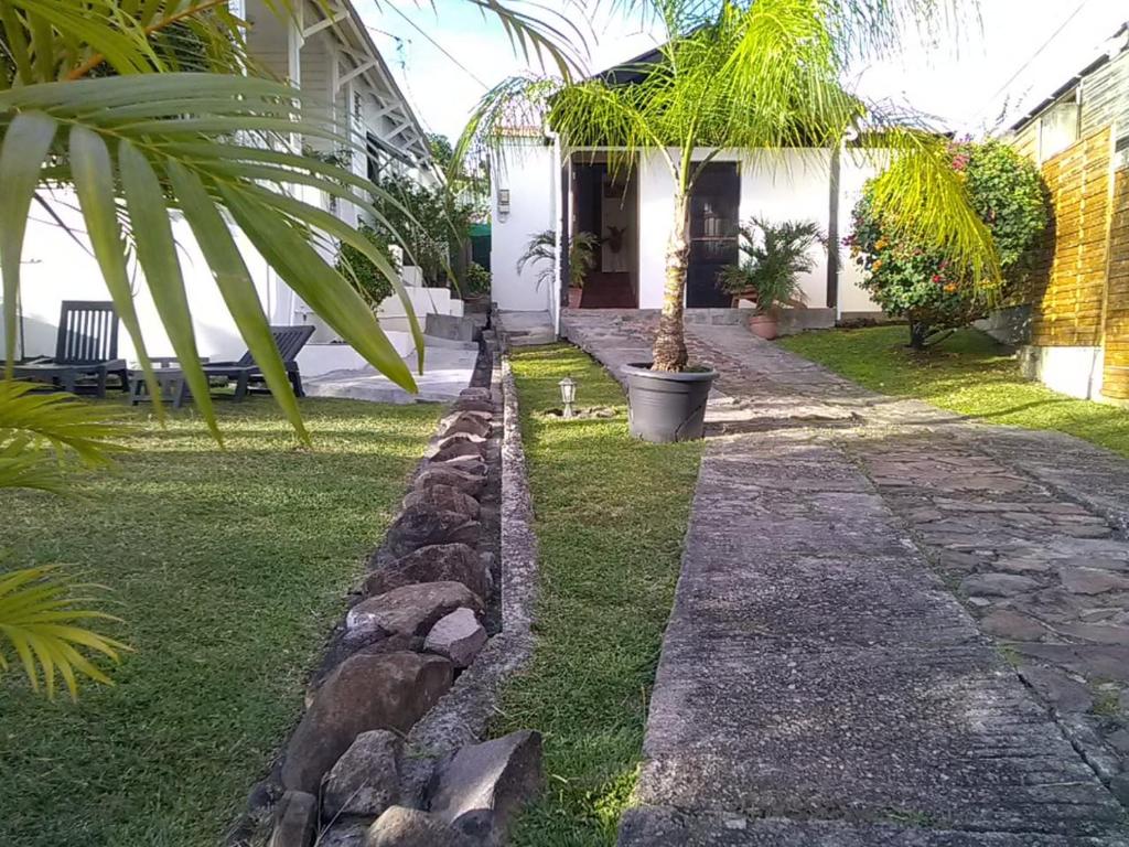 a house with a palm tree in the yard at La DEPENDANCE CREOLE in Fort-de-France
