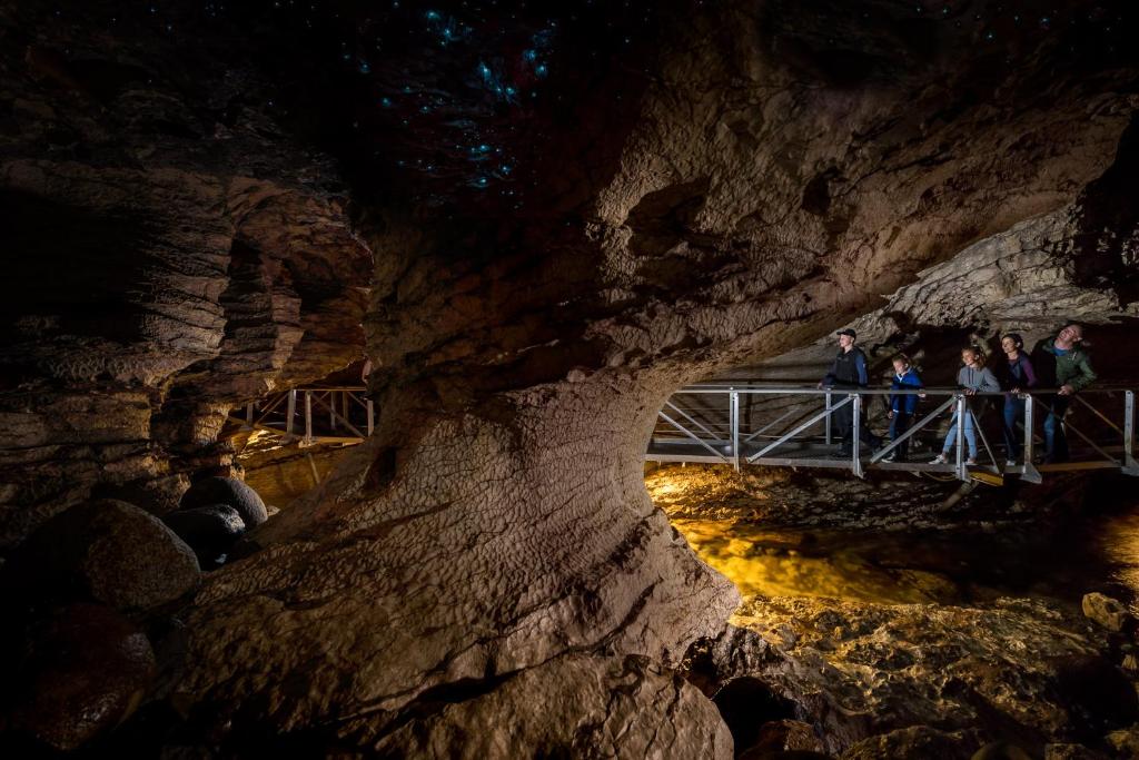 Fiordland Lodge - Resim 36