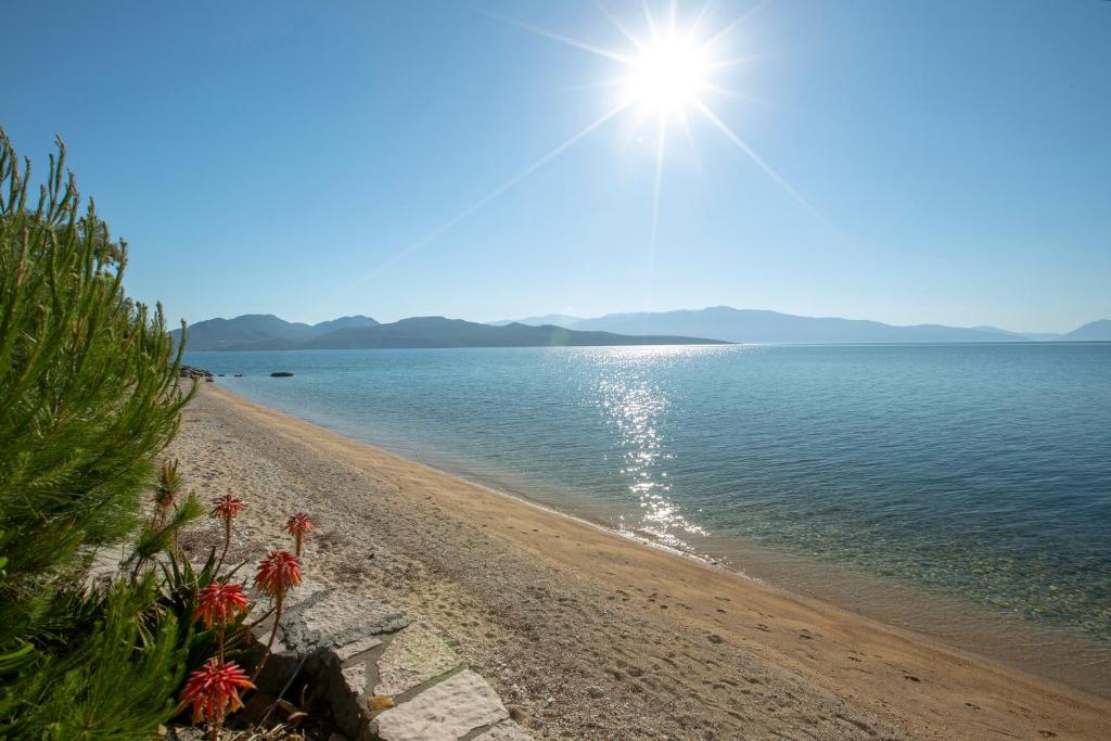 KN Ionian Suites