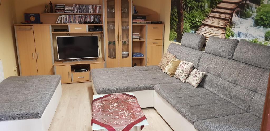 a living room with a couch and a tv at Haus Daniel Mariazell in Mariazell