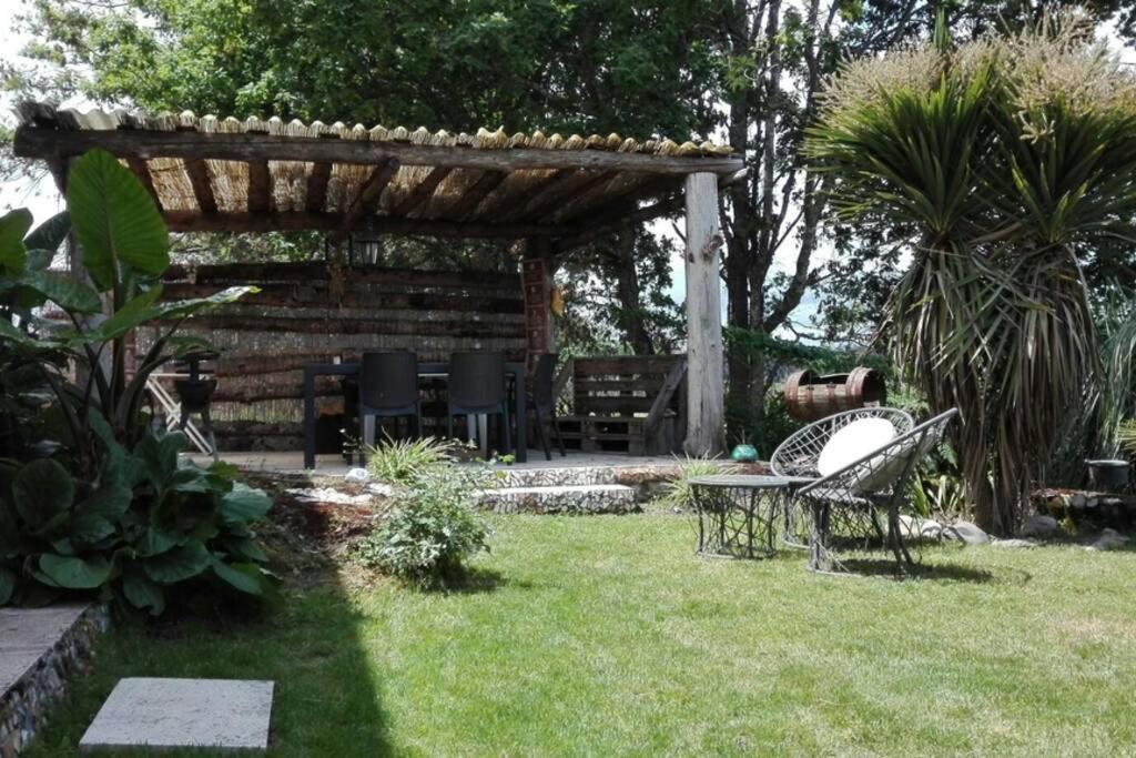 ein Garten mit einer Bank und einer Pergola in der Unterkunft Quinta Sarnadela - Spacious 3 bedroom house with mountain view in Oliveira do Hospital