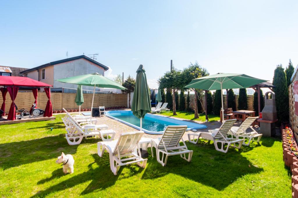 a group of lawn chairs and umbrellas next to a pool at Admiral aqua resort in Mielno