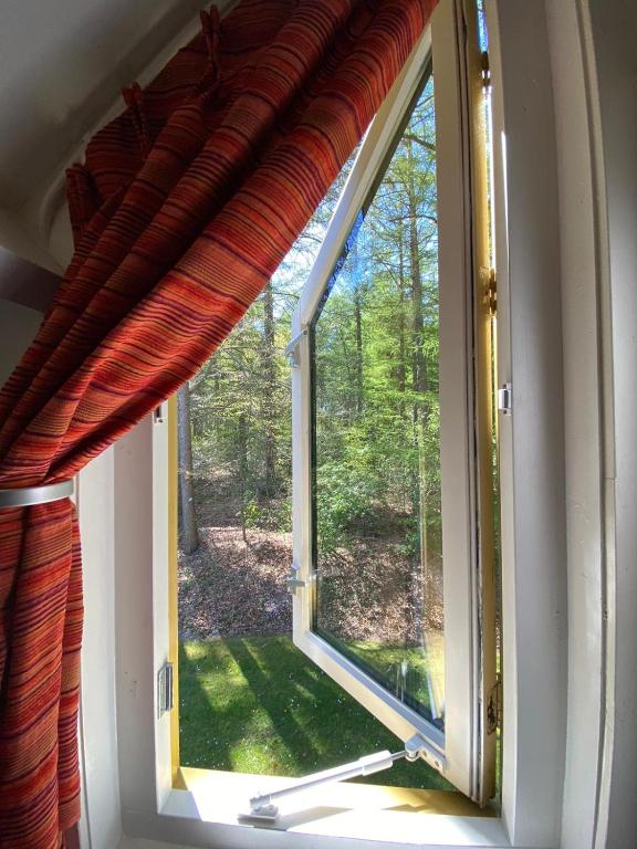 an open window with a view of the woods at Marry's boshuisje in Dalfsen