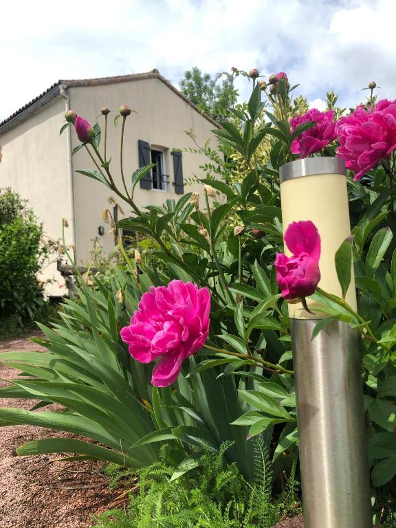 un groupe de fleurs roses devant un bâtiment dans l'établissement Chambre d´hôtes La Jonchère, aux Herbiers