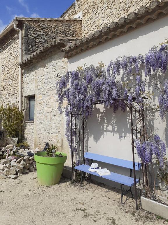 Zahrada ubytování Logis Hôtel Restaurant Le Clos des Capitelles