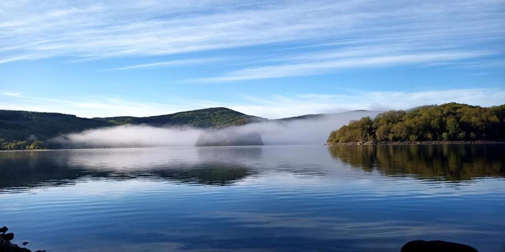 a view of a lake with trees and fog on the water at Les Fées du lac *** in Nages