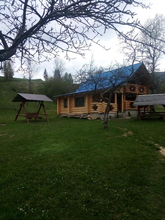 Příroda nedaleko motelu