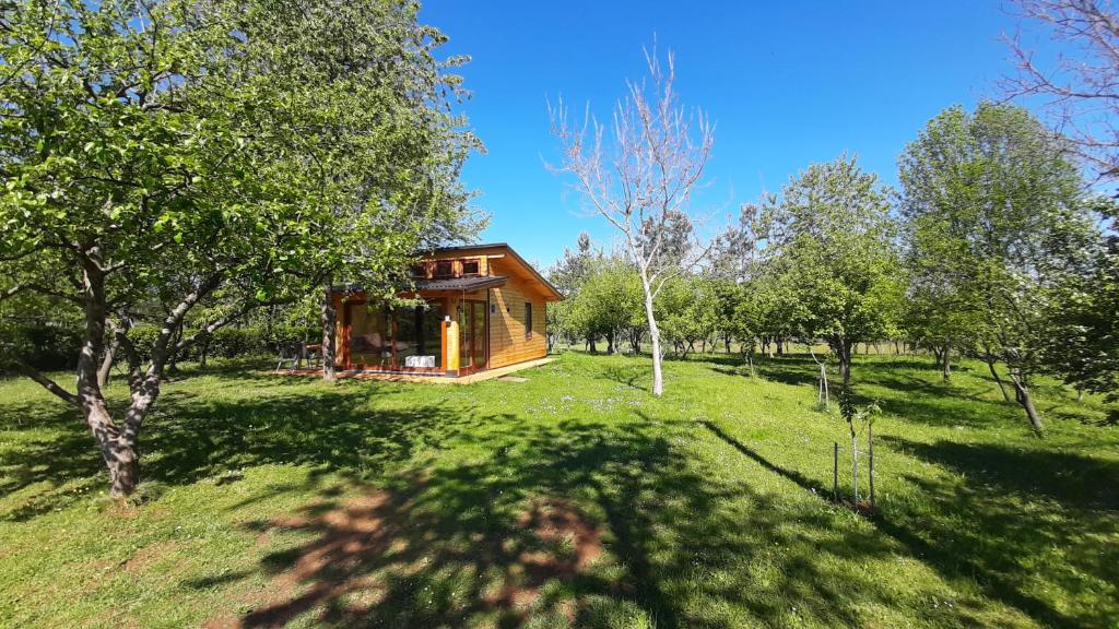 Zahrada ubytování Tiny House Grabovac